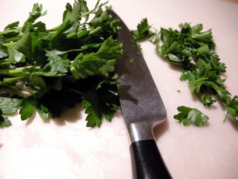 cilantro-dscn3190