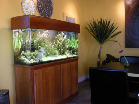 fish-tank-at-the-whole-bowl-dscn3402
