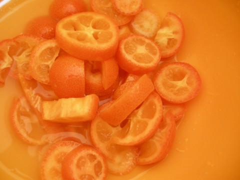 dscn4452 dscn4452