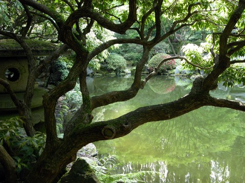 Little Secret Spot