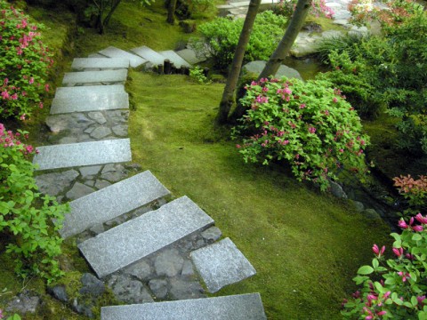 Lovely Path