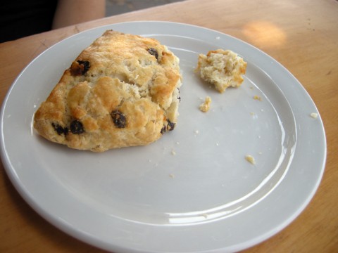 Gluten-Free Currant Scone Gluten-Free Currant Scone