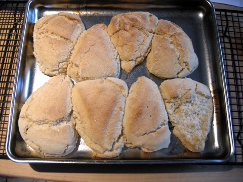 Trader Joe's Gluten-Free Mix Scones