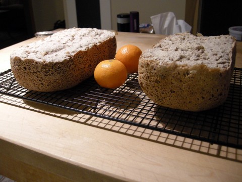 Gluten Free Bread Machine Bake-Off Gluten Free Bread Machine Bake-Off
