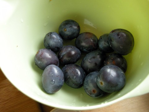 Plums Ready to Go!