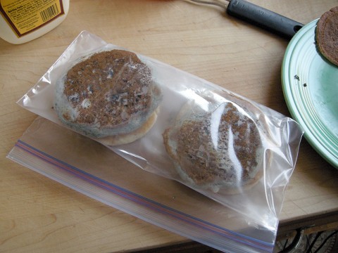 Freeze them pancakes