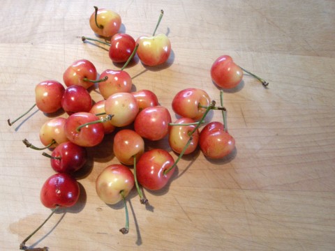 cherries-DSCN8787 Cherries!